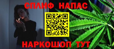 мяу мяу мука Гусь-Хрустальный