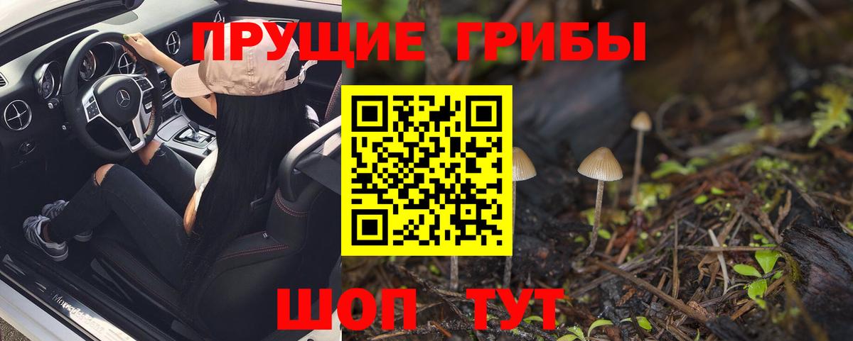 Псилоцибиновые грибы Psilocybe  Галлюциногенные грибы Magic Shrooms  Моздок  Вход с VPN 